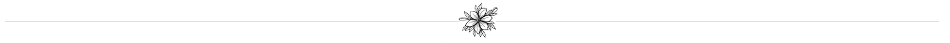 Gutschein_Liner